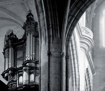 0-mus-autres-001