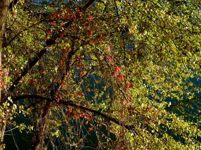 2014-10-27-063a