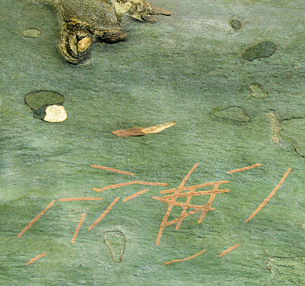 Accueil