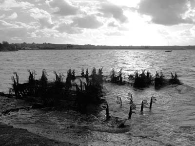0_carantec_parcs_047
