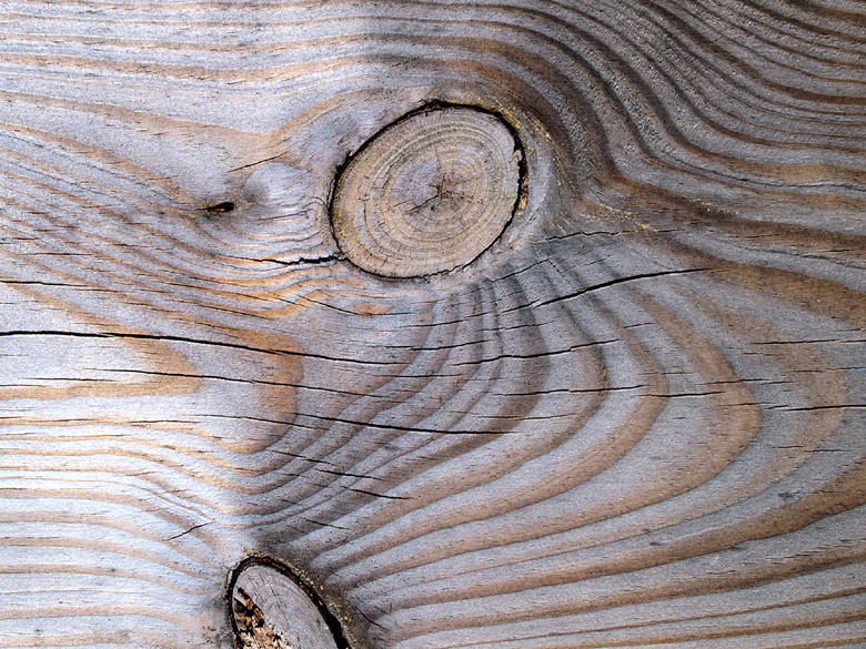 Accueil