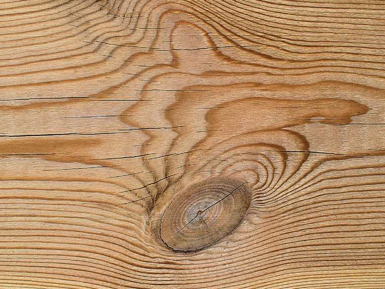 Accueil