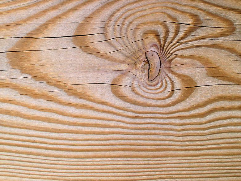 Accueil