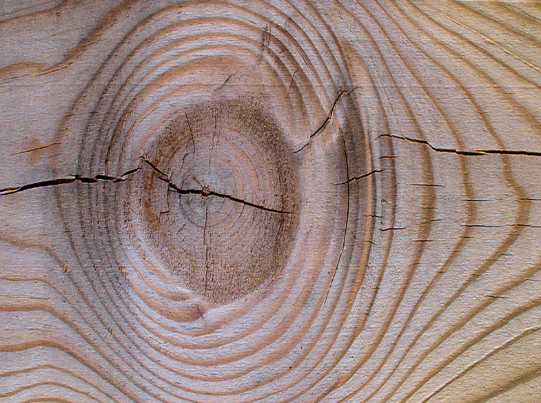 Accueil