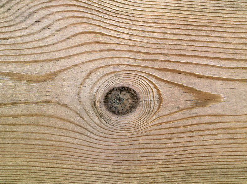Accueil