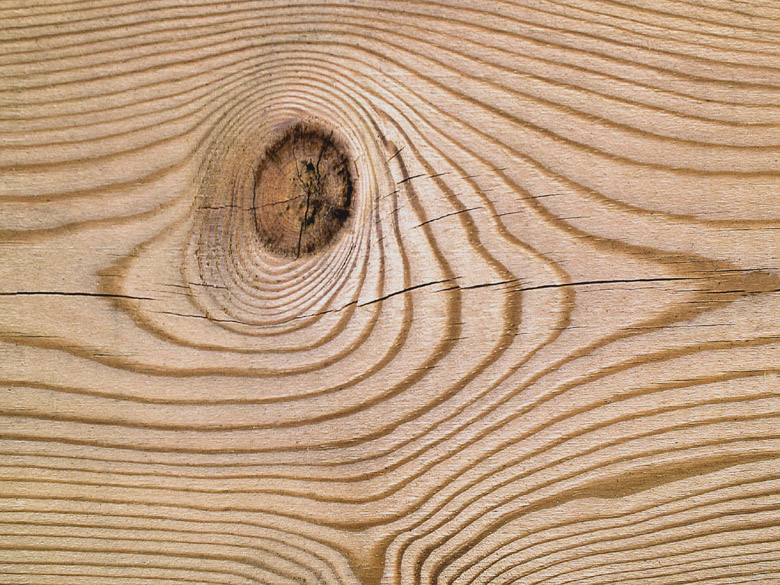 Accueil