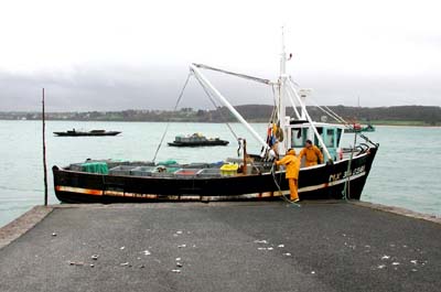 0_marins_005