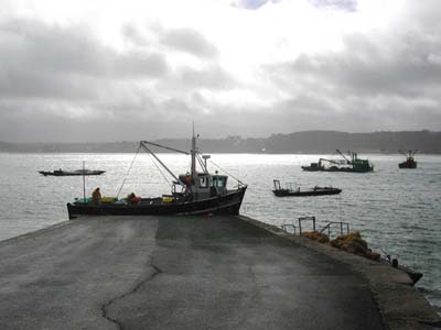 0_marins_015
