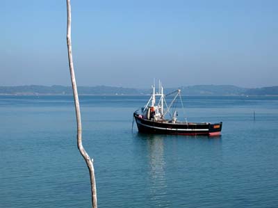 0_marins_035