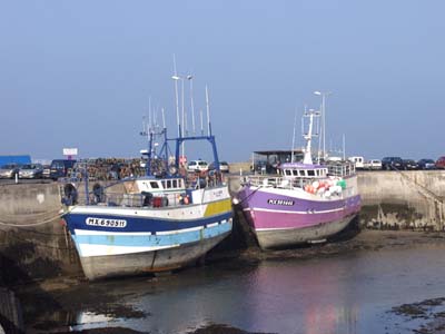 0_marins_062