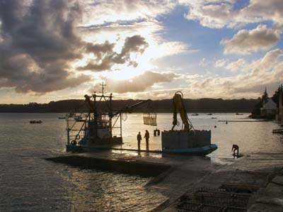 0_marins_119