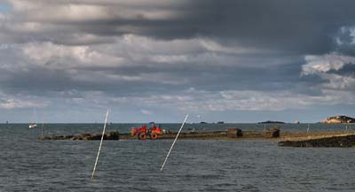 2010-11-11-008b