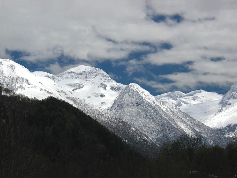 Accueil