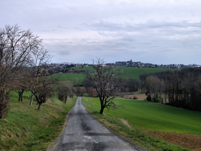 Accueil