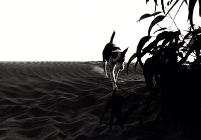 0-paysages-nat-006
