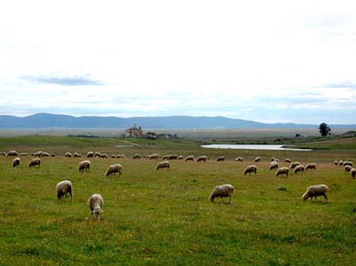 0-paysages-nat-010