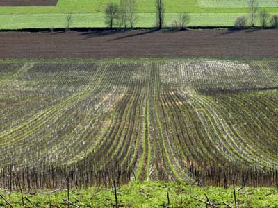 0-paysages-nat-018