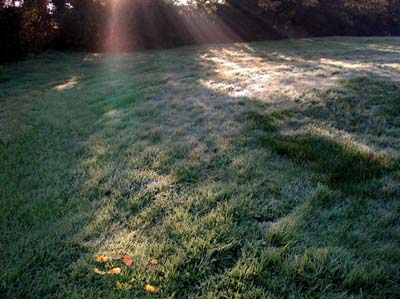 0-paysages-nat-019
