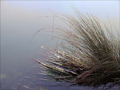 0-paysages-nat-024