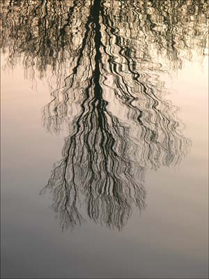 0-paysages-nat-027