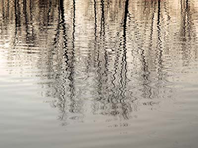 0-paysages-nat-028