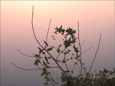 0-paysages-nat-030