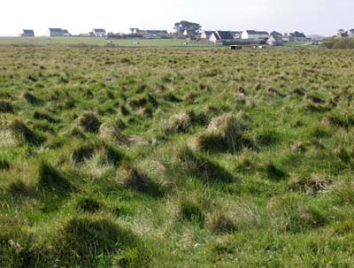 0-paysages-nat-037
