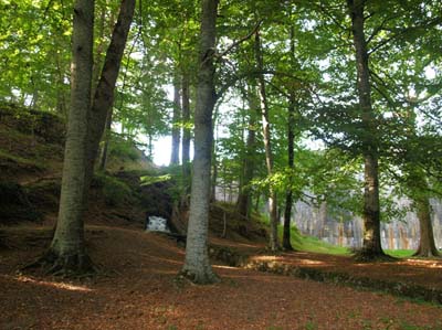 0-paysages-nat-041