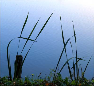 0-paysages-nat-044