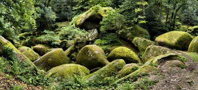 2008-08-17-051-pan-