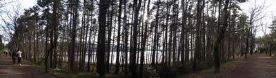 2009-02-15-018-pano