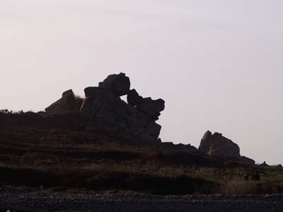 2009-12-27-339a1