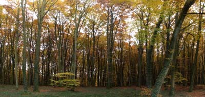 2009_11_04_008-panoa1
