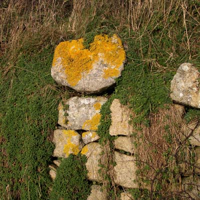 2010-01-02-005a