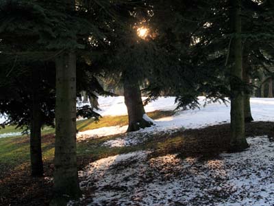 2010-02-16-608a