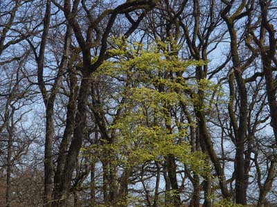 2010-04-06-125a