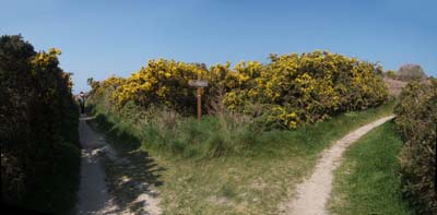 2010-04-17-098-panoa