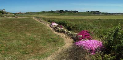 2010-06-27-156-pano
