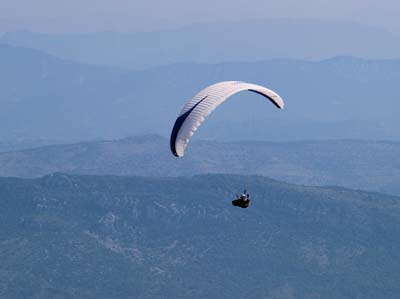 2010-07-19-732a