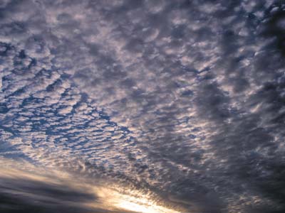 2010-08-29-009a