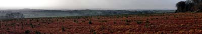 2011-03-03-162-panoa