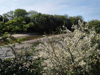 2011-04-20-016a