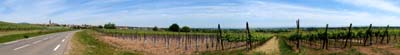 2011-05-10-767panoa