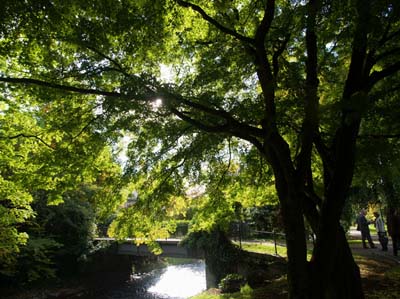 2012-10-08-139a