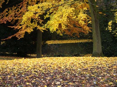 2012-11-19-165a