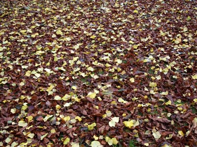 2012-11-19-176a