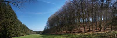 2013-04-24-112-pan