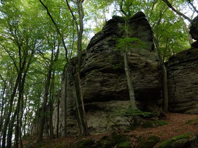 2014-09-15-230