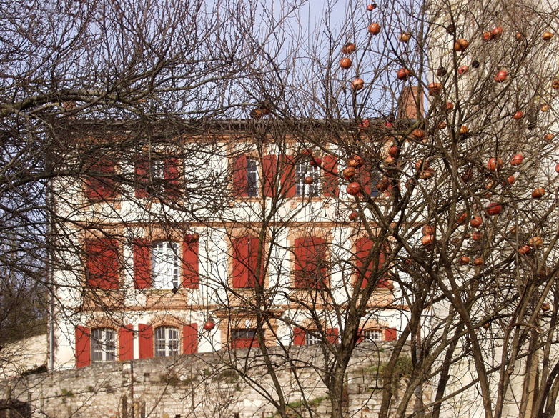 Accueil