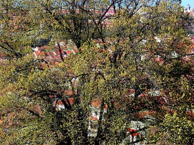 0_urbains_016